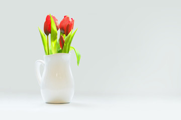 Spring. Red tulips in white porcelain milk jug on white background, sunlight. Copy space. Pitcher and flowers, march 8