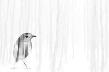 Abstract nature and birds. Double exposure effect. Nature background.