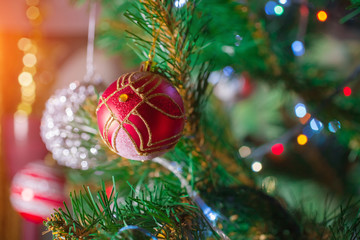 Red Christmas ball on a Christmas tree