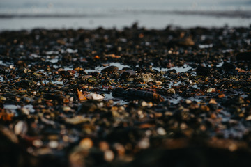 Das Meer im Herbst