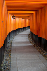 Torii path lined with thousands of torii in the Fushimi Inari Taisha Shrine in Kyoto
