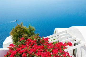 White architecture on Santorini island, Greece. Flowers on the terrace with sea view