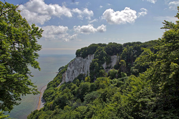 Kreidefelsen Rügen