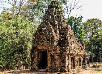 Angkor wat jungle in Siem Reap Cambodia.