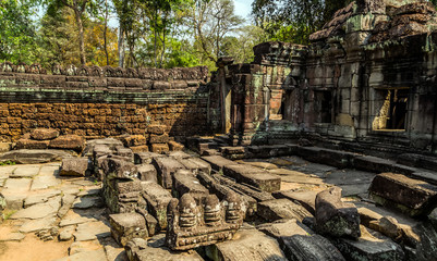 Angkor wat jungle in Siem Reap Cambodia.