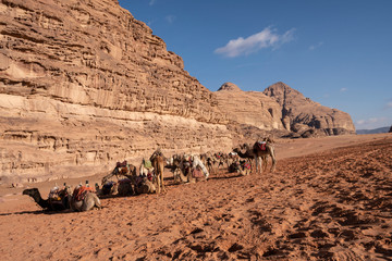 Campo de nomadas Beduinos con camellos. Wadi Rum, Jordania