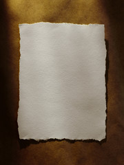 Paper Textured Background