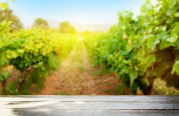 Wooden table in front of vineyard