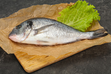 Raw Dorada fish  for cooking