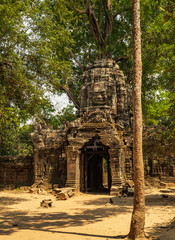 ancient temple complex in Cambodian jungle.