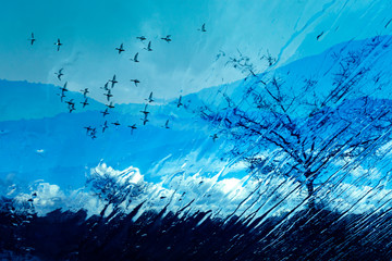 Abstract nature and birds. Double exposure effect. Nature background.