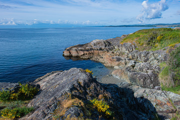 Naklejka premium Coast of Salish Sea