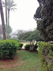 parque en un diá de niebla