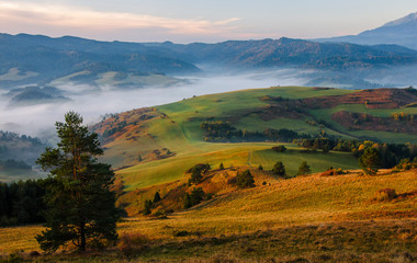 Wysoki Wierch, Polska © Małgorzata
