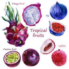 Watercolor illustration of a set of tropical fruits. Pitahaya, lychee, figs, passion fruit. Whole fruits, parts of fruits.