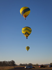 Fototapeta na wymiar 3 yellow and green balloons rising into the blue morning sky together. 