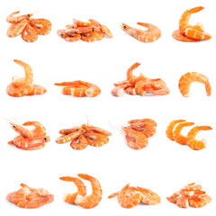 Set of delicious freshly cooked shrimps on white background