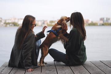 Two girls and english cocker spaniel dog lying on wooden bridge.Portrait of dog outside (outdoors)....