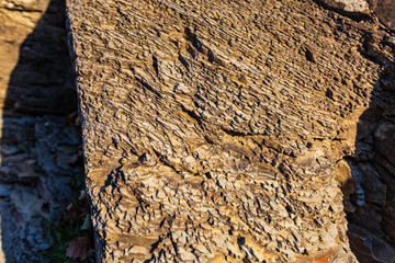 layered rock under the bright rays of the sun with fallen leaves in the shade