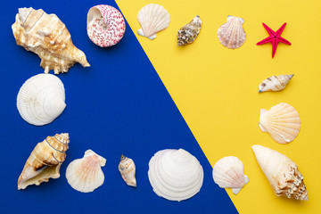 Shells background. Frame of White seashells, red starfish isolated on blue, yellow backdrop. Hello Summer is coming concept