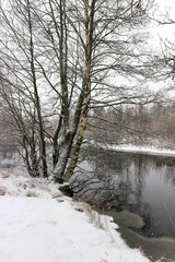 Early winter landscape with river and trees