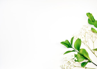 Fototapeta na wymiar Beauty background cosmetic product, with green leaves and white flowers of gypsophila, on a white background of spring. The concept of mother's day-women. flat lay, top view.
