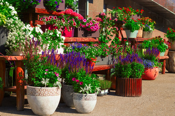 Fototapeta na wymiar many different flowers and plants on the street flower market