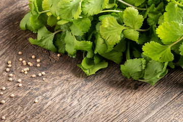 Cilantro leaves and coriander seeds on a table with copy space