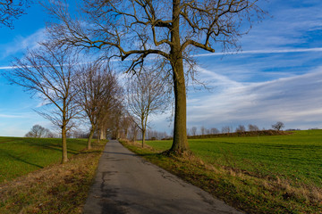 Hilgersdorfer Straße bei Steinigtwolmsdorf/ Oberlausitz