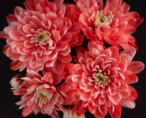 bouquet of red flowers