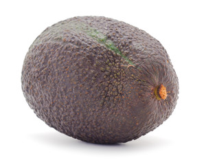 Single fresh avocado.