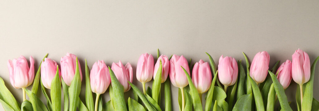 Pink tulips on grey craft background, top view and space for text
