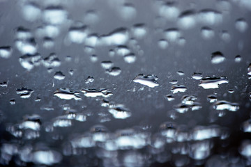 rain drops on windoweye of a horse, flowers at closeup, makro, närbild, sweden, stockholm, nacka, sverige