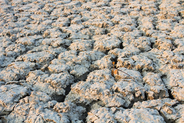 ground is dry until it causes the disintegration of the ground. And a small tree is dead from the Caused by global warming