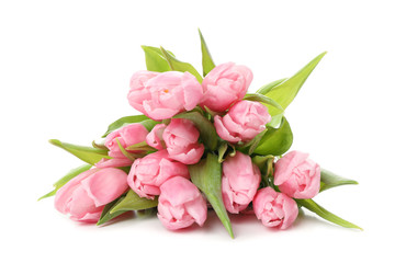 Bouquet of pink tulips isolated on white background