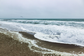 wet black sand on the stormy beach 