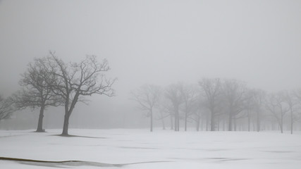 Fototapeta na wymiar foggy morning winter snow landscape