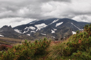 Kamchatka