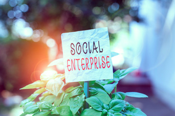 Word writing text Social Enterprise. Business photo showcasing commercial organization that has...