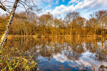Schöne Spiegelung von Wolken und Bäumen im See