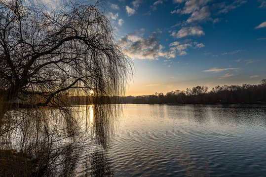 Spiegelung trauerweide im Baldeneysee in Essen