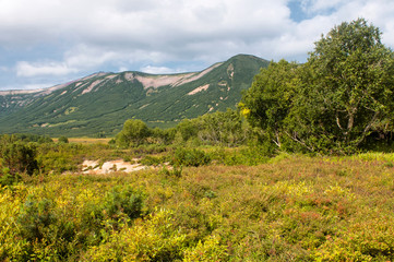 Fototapeta premium Kamchatka