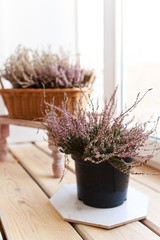 A bouquet of purple heather and lavender flowers in a wicker basket stands on a wooden windowsill against a white wall, flowers for March 8, a cozy house, macro shooting, selective focus
