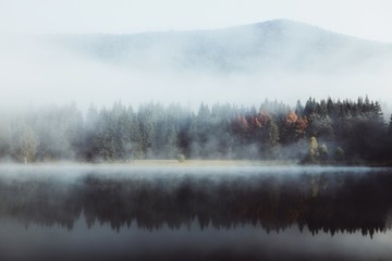 Foggy morning in the wilderness forest. Colorful trees reflected in the lake. Autumn nature...
