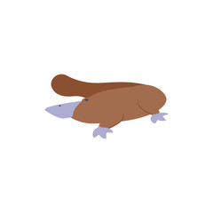 Cute australian platypus vector design