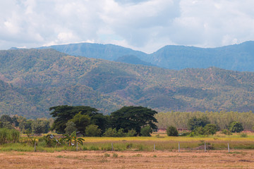 Landscap mountain and bautiful nature