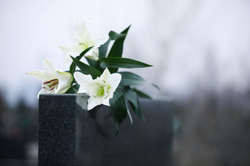 White lilies on black granite tombstone outdoors, space for text. Funeral ceremony - obrazy, fototapety, plakaty