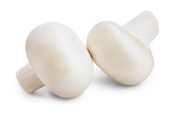 Fresh mushroom champignon isolated on white background with clipping path