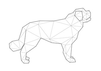 Low poly illustrations of dogs. Saint Bernard standing on white background.