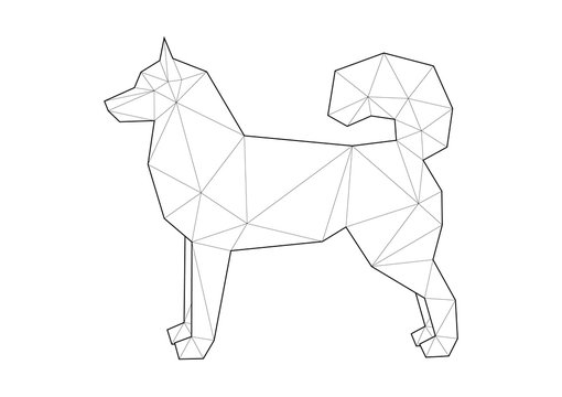 Low poly illustrations of dogs. Siberian Husky standing on white background.